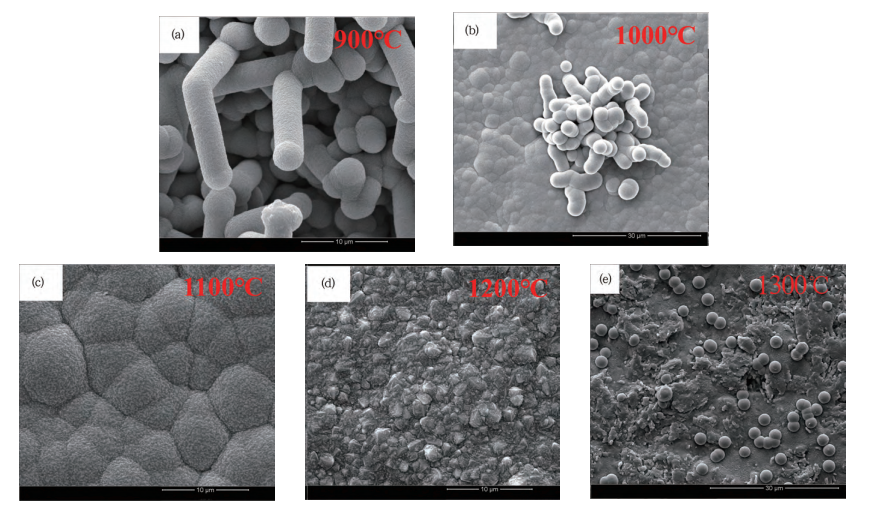 Impetus Temperaturae in CVD-SiC Coatings