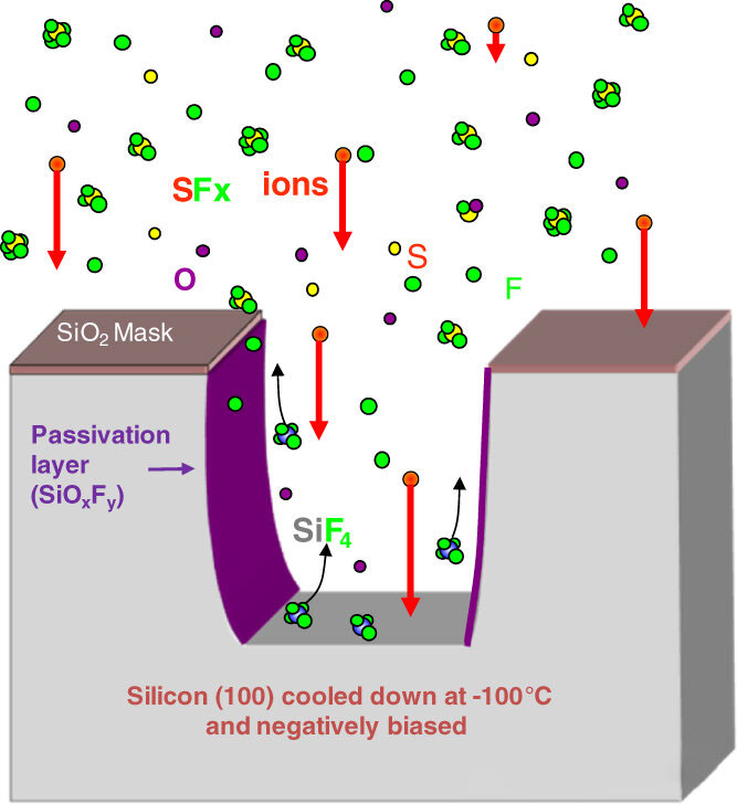 Cur latera flectunt per siccum etching